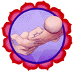 Shelly's logo