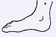 location of Spleen 6 pressure point