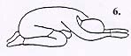 Yoga Illustration