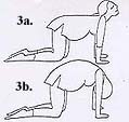 Yoga Illustration