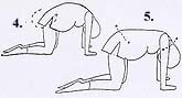 Yoga Illustration
