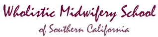 Wholistic Midwifery School